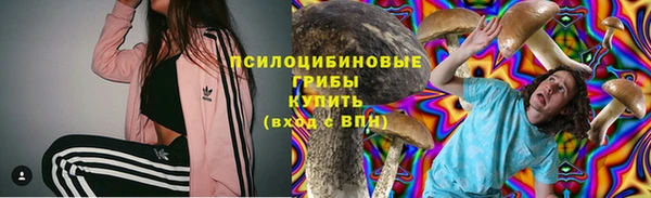 сатива Алзамай
