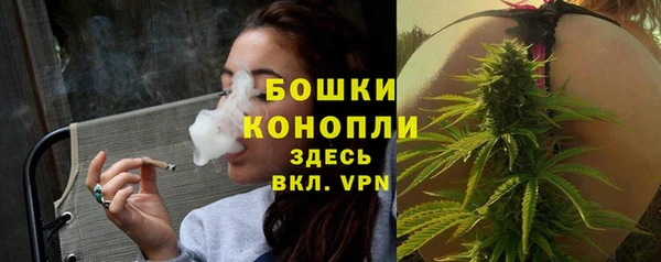 амф Дмитров